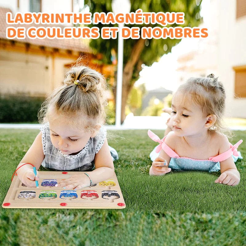 Jeu montessori couleur boudechoux