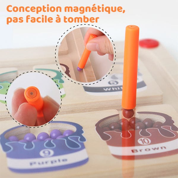 Jeu montessori couleur boudechoux