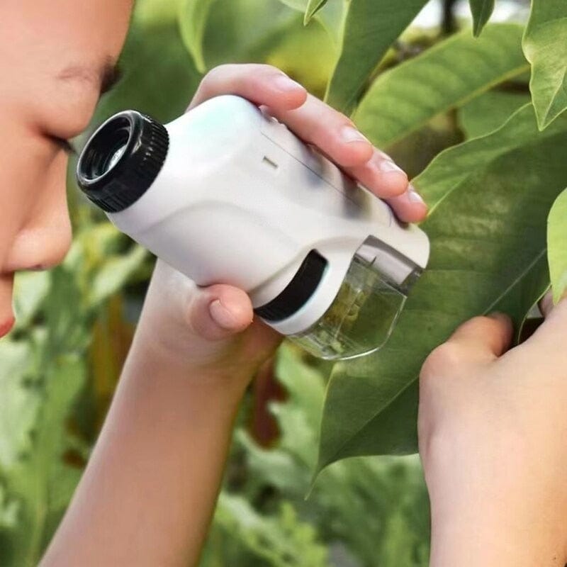 Mini Microscope de Laboratoire Portable avec lumière LED pour enfant boudechoux