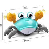 Crabe rampant avec musique et Led boudechoux