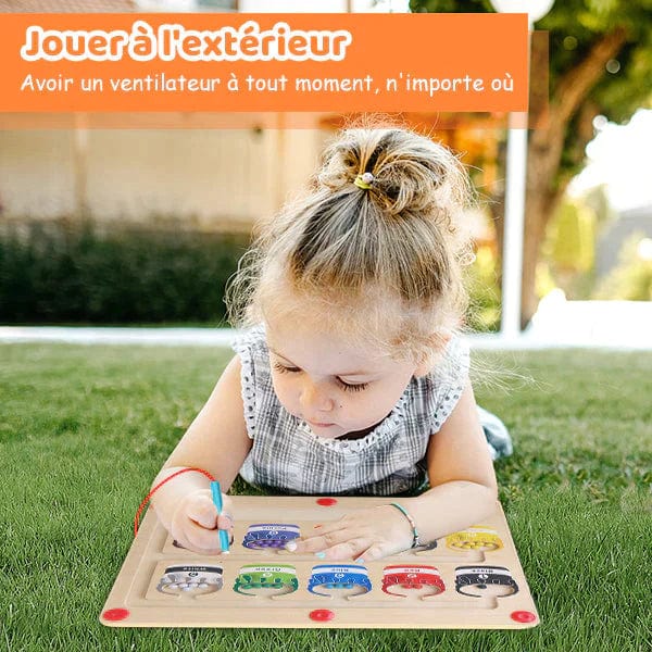 Jeu de Tri des Couleurs boudechoux