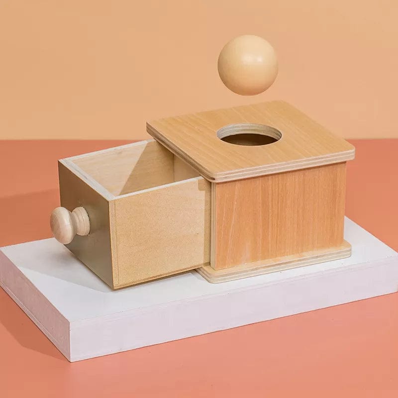 Meilleur Jouet 1 an Montessori Type 3 boudechoux