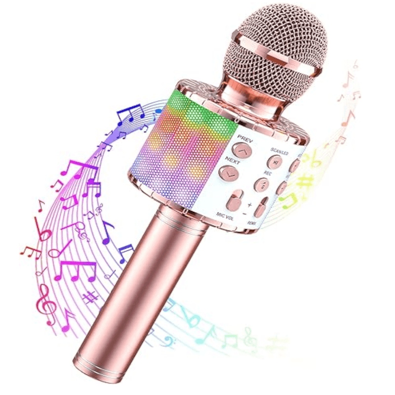 Microphone enfant  sans Fil Karaoké boudechoux