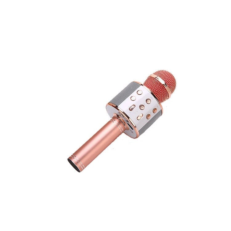 Microphone enfant  sans Fil Karaoké Rose boudechoux