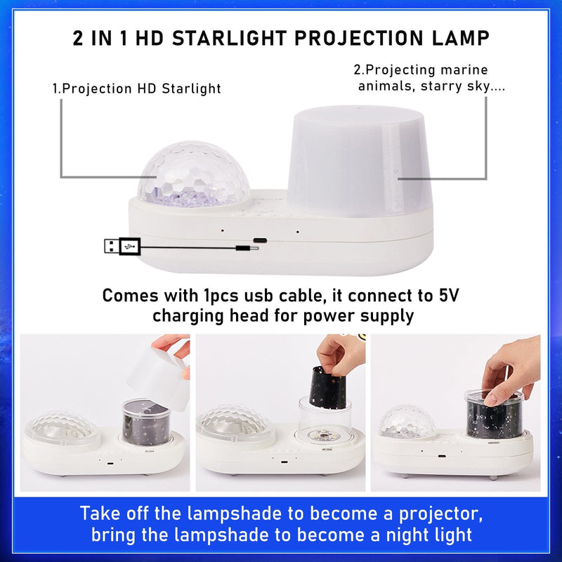 projecteur constellation boudechoux