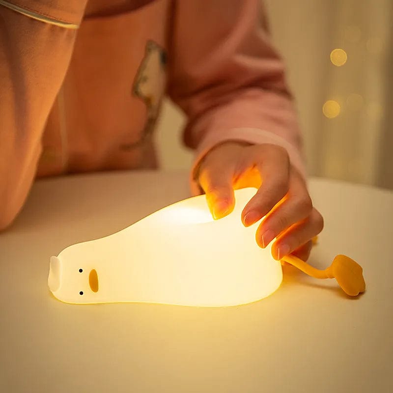 veilleuse chambre boudechoux